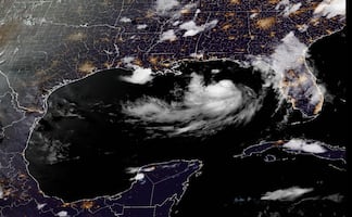 Tormenta tropical Bertha avanza en el Golfo de México hacia Florida y Alabama; huracán "Fausto" se desplaza por el Pacífico