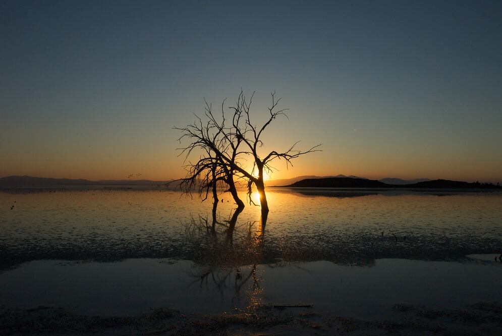 Hallazgo en lago de California podría cambiar por completo el futuro de los autos eléctricos