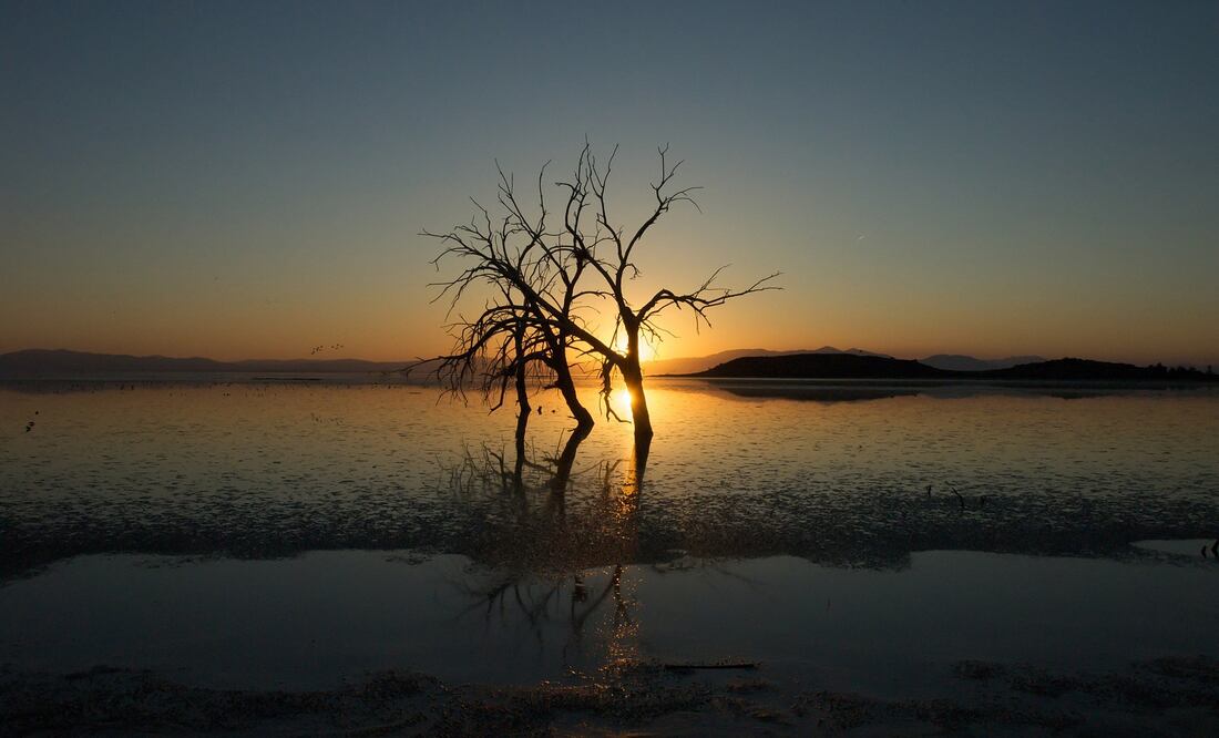 Hallazgo en lago de California podría cambiar por completo el futuro de los autos eléctricos