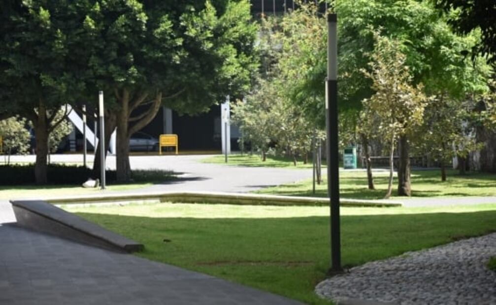 Trabajadora de la Cineteca Nacional acudió por miedo a represalias