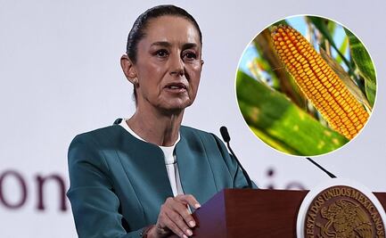 Sheinbaum firma decreto para prohibir cultivo de maíz transgénico en México; destaca promoción de cultivos tradicionales