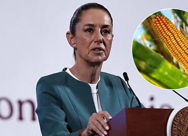 Sheinbaum firma decreto para prohibir cultivo de maíz transgénico en México; destaca promoción de cultivos tradicionales