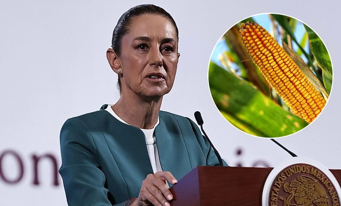 Claudia Sheinbaum, presidenta de México, durante la mañanera del 17 de marzo del 2025 en Palacio Nacional. Fotos: Berenice Fregoso / EL UNIVERSAL y Pixaby