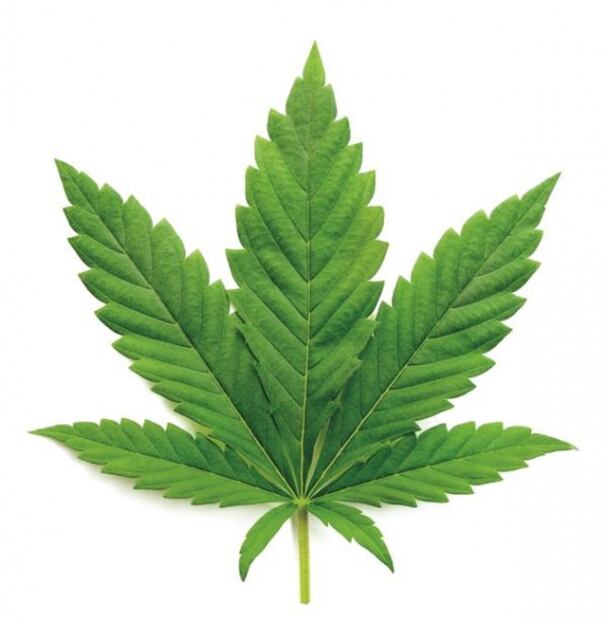 El Foco. “Merezco salir libre bajo fianza de 150 mil libras”