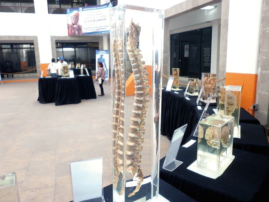 (Foto: Archivo EL UNIVERSAL)