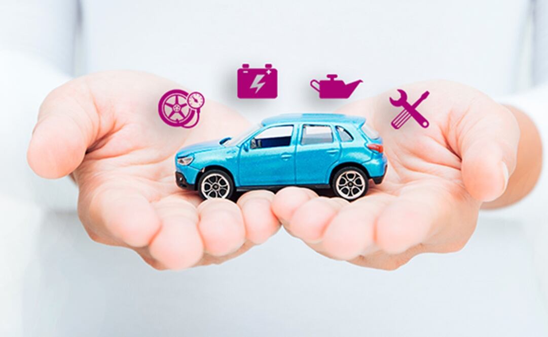 Quálitas estima impacto de 2 mil millones de pesos en utilidades por aprobación de la Ley de Ingresos 2026 . Foto: Quálitas