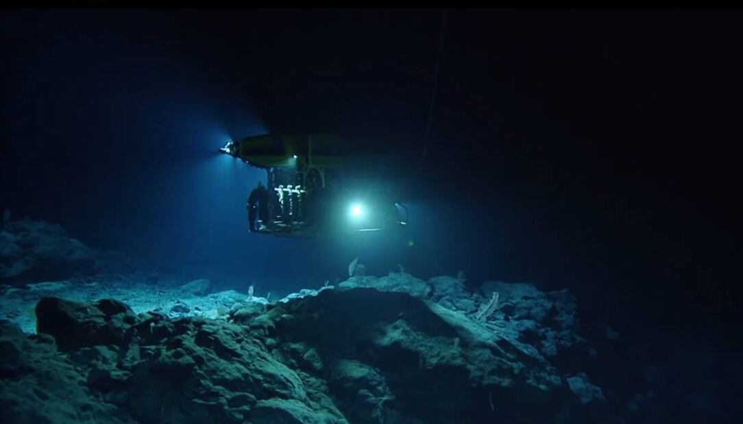 Foto: Captura de pantalla Youtube 'Nautral World Facts'