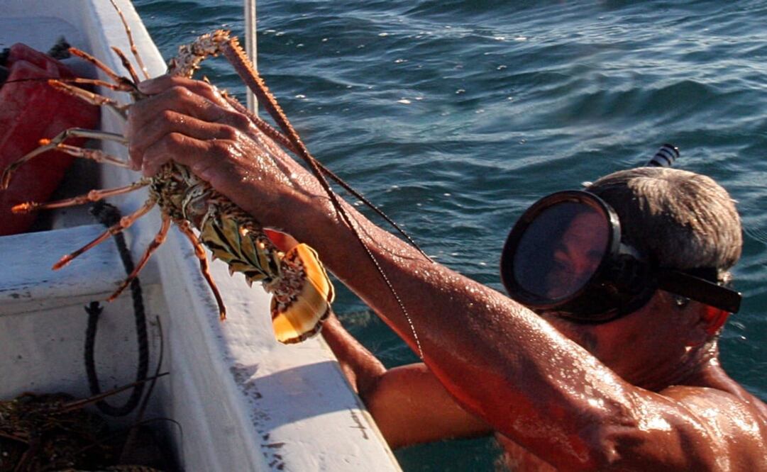 Foto: Archivo/ EL UNIVERSAL