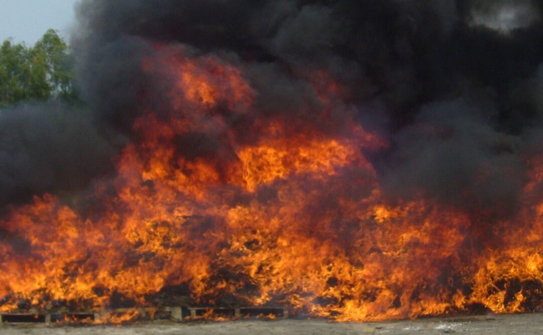 Foto: Archivo/ EL UNIVERSAL                             