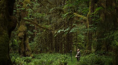 La cruzada por salvar el silencio, el "sonido" más amenazado del mundo