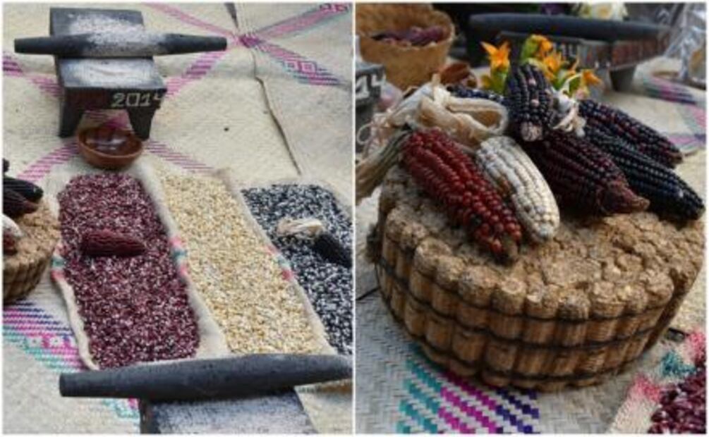 La Chinampería, base para la cocina mexicana