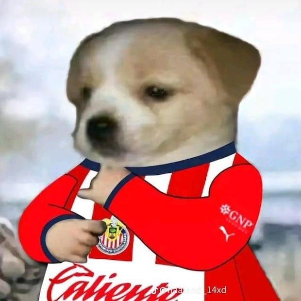 Los mejores MEMES del triunfo de Chivas ante América en el Clásico Nacional
