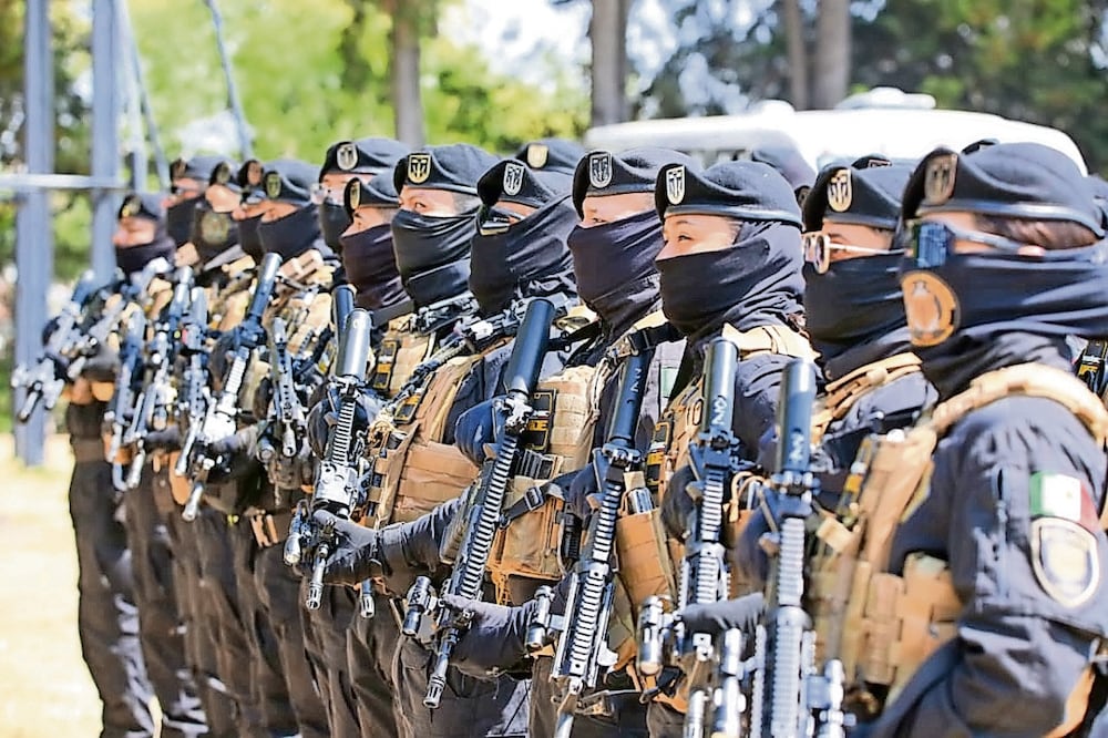 El entrenamiento del grupo élite consistió en defensa táctica con armas, operaciones aeromóviles, manejo defensivo y ofensivo, entre otros. Foto: Especial