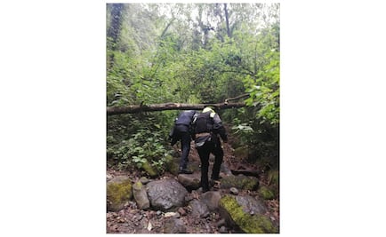 Esposa de embajador danés en México se accidenta en Amecameca