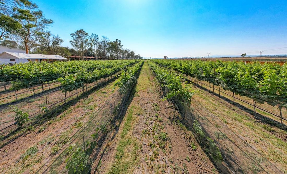 Foto: Sectur México