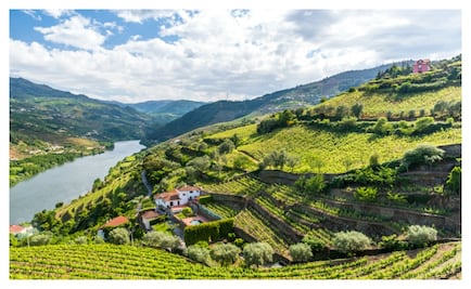 ¡Sorpresa! En Canadá también hay vinos 
