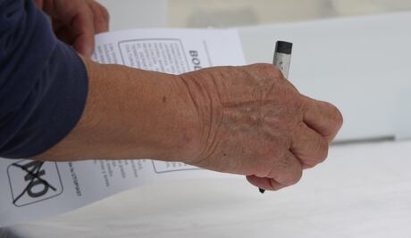 Deciden futuro de la Utopía en Xochimilco; algunas casillas tienen alta afluencia y otras no