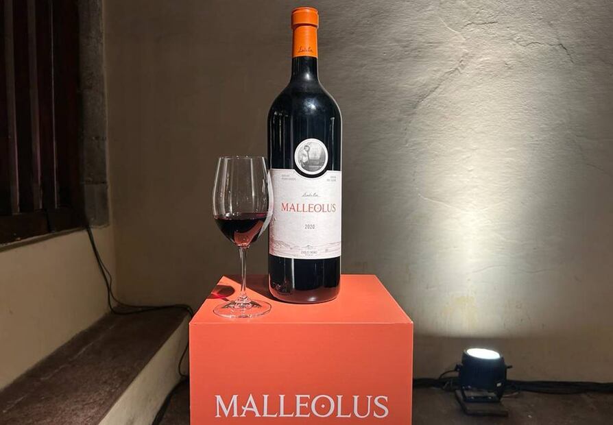 Foto: Alan Nájera / El Universal