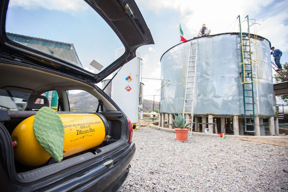 Con nopal, crean gasolina orgánica