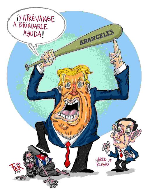 Cartón de FER