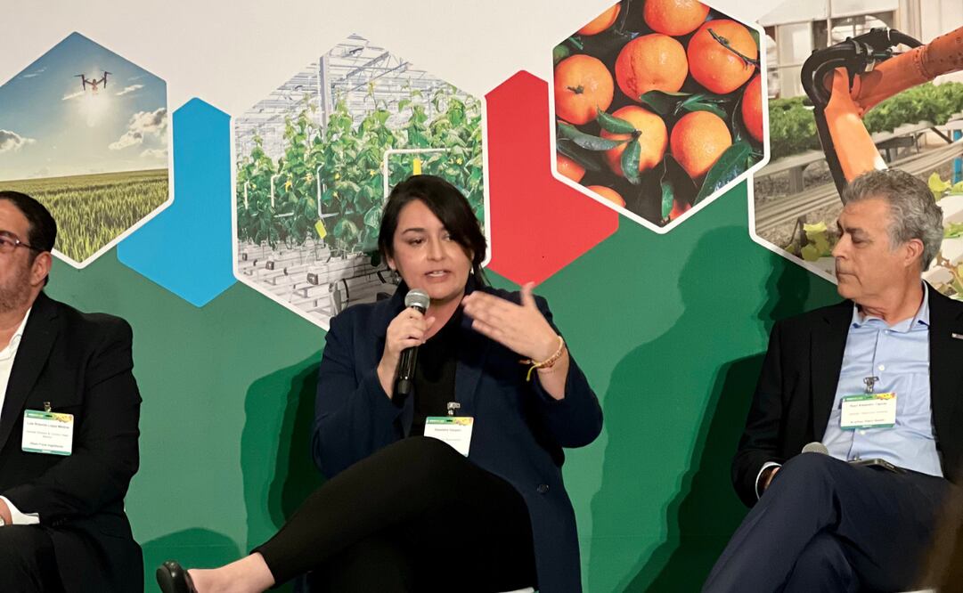 Grupo Bimbo, pionero en agricultura regenerativa. Foto: Especial