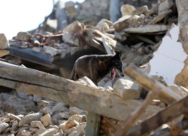 Suman 120 muertos tras sismo en Italia