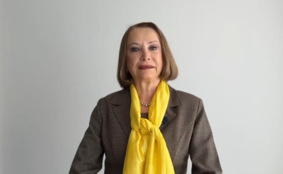 La presidenta del Senado de la República, Laura Itzel Castillo Juárez. Foto: Captura de pantalla.