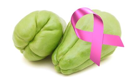 Scientists from UNAM develop chayote to treat cancer
