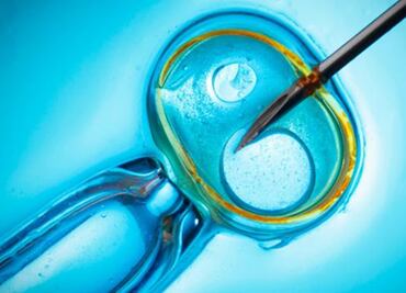 La reproducción asistida ocupa el tercer lugar del turismo médico en México