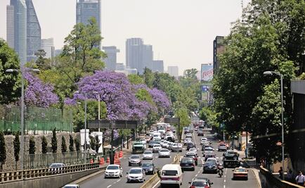 Modernización de transporte para reducir emisión de contaminantes