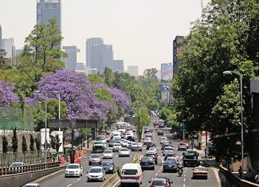 Modernización de transporte para reducir emisión de contaminantes