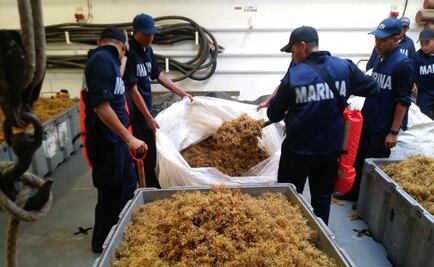 Agradece AMLO apoyo de la Marina para resolver problema de sargazo en el Caribe