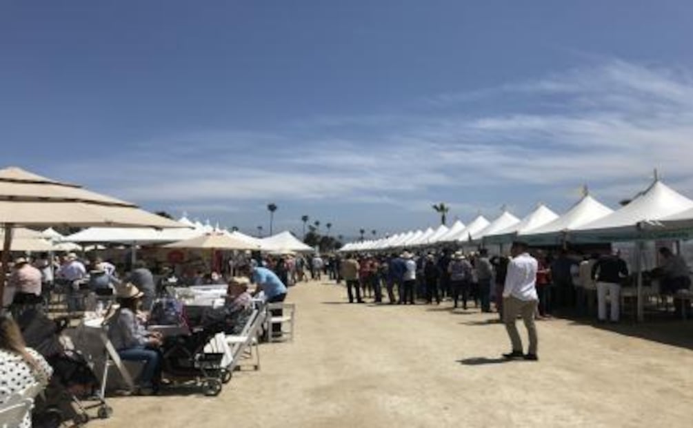 Festival de las Conchas y el Vino Nuevo, una carta de amor a Baja California