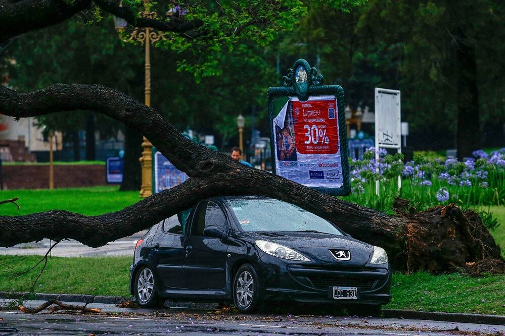 Un árbol cayó sobre un vehículo debido a un temporal hoy, en Buenos Aires. Foto: EFE