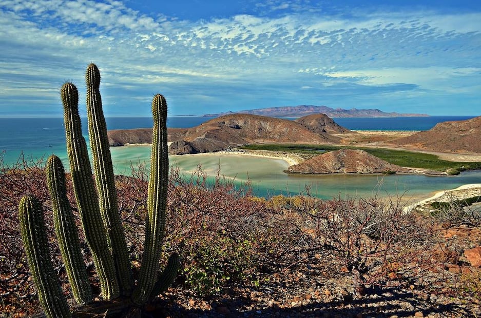 Foto: SETUE Baja California Sur