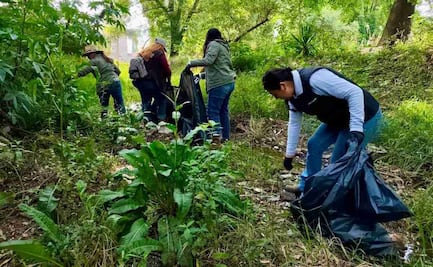 PAN acusa "reversa" del gobierno en cumplimiento de agenda medioambiental; Morena ignora la crisis, denuncia