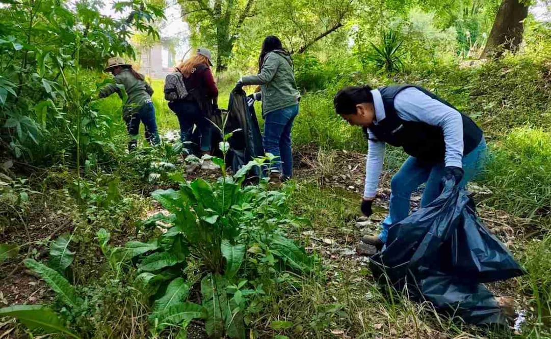 PAN acusa "reversa" del gobierno en cumplimiento de agenda medioambiental. Foto: Semarnat