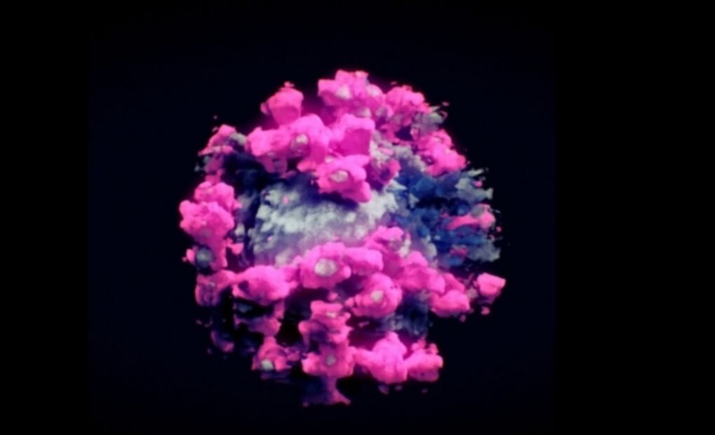 Mitos y verdades: ¿Qué sabemos del origen del SARS-CoV-2?