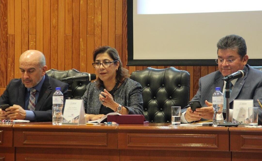 La comisionada Josefina Román Vergara en el Foro “Transparencia, Anticorrupción e Integridad Electoral” / Tomada de Twitter @INAImexico