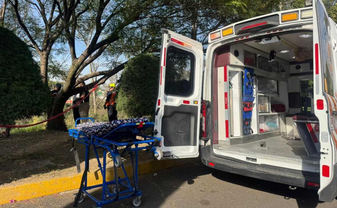 Rescatan a una mujer que cayó a un barranco en Álvaro Obregón cuando hacía ejercicio  (02/01/2025). Foto: Especial