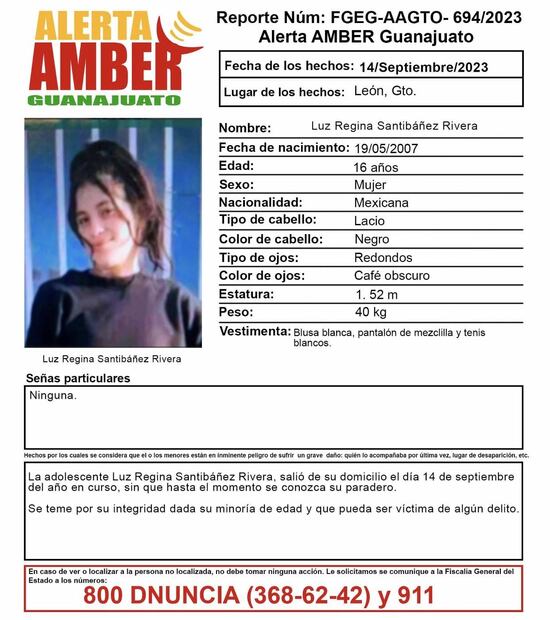 La ficha de Alerta Amber fue compartida en redes sociales / Foto: Especial