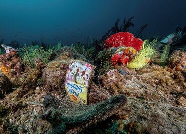 De sueño a pesadilla: la Autoridad Internacional de los Fondos Marinos y la postura mexicana