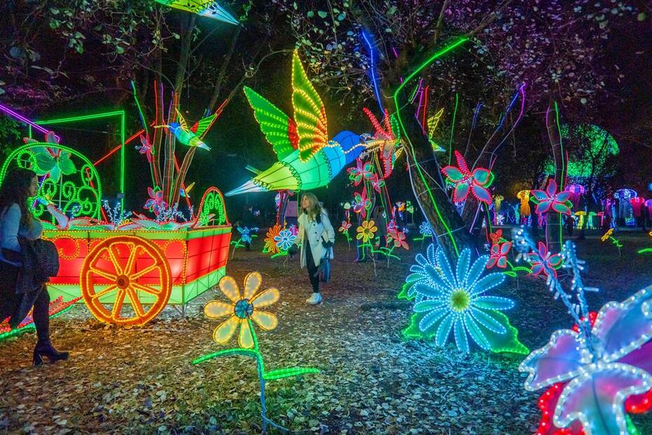 Foto: Facebook ‘BrillaFest, Una Navidad en el Bosque’
