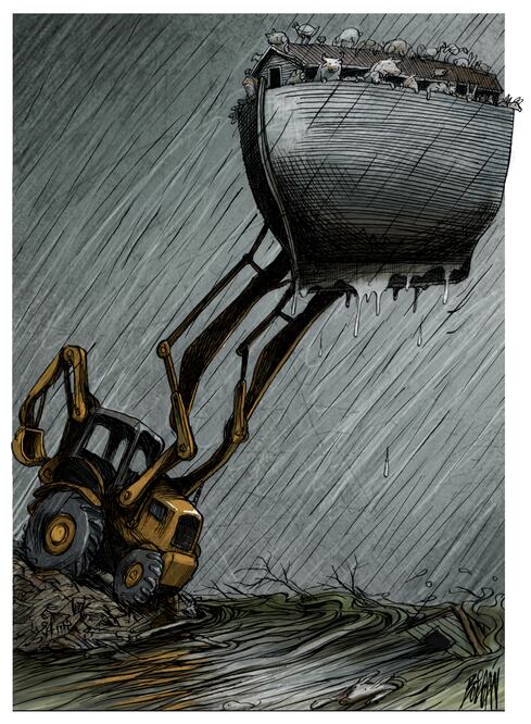 Cartón de BOLIGÁN
