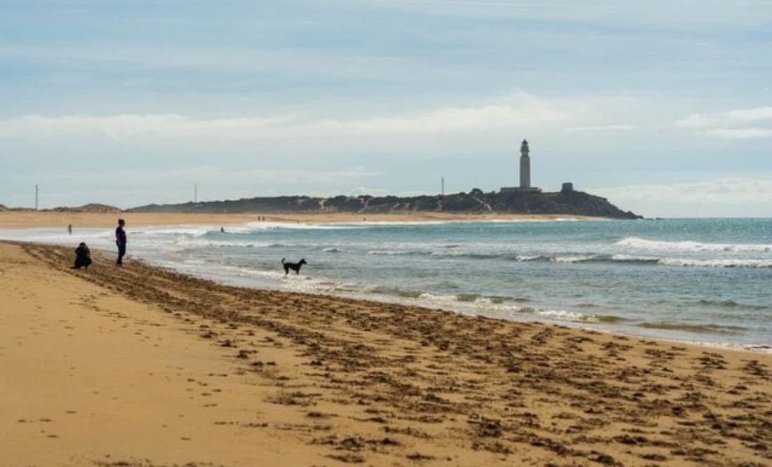 Las mejores playas de Sudamérica. Fuente: Freepik