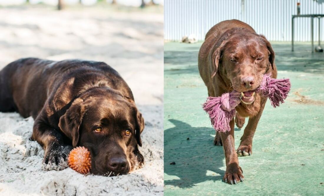 La prevención es la mejor defensa contra el golpe de calor. Fuente: Freepik.