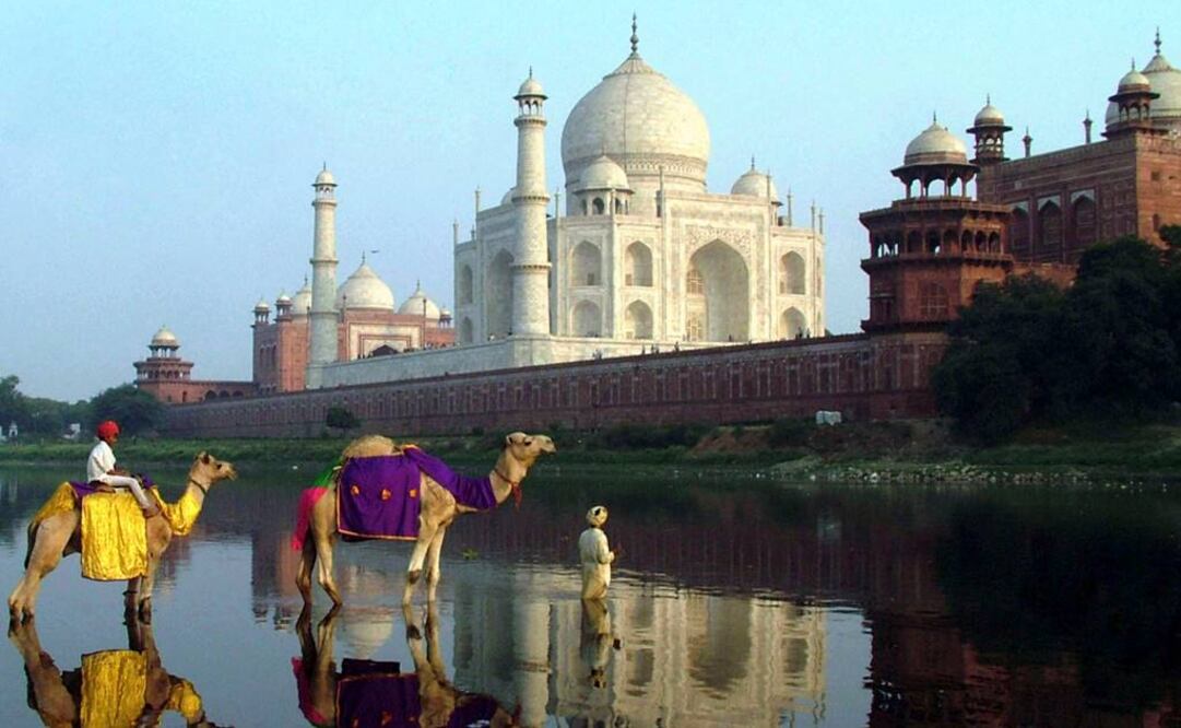 Las algas del Yamuna han ahuyentado a los peces que se alimentaban de dicho insecto y regulaban su población. (FOTO: Archivo EL UNIVERSAL) 