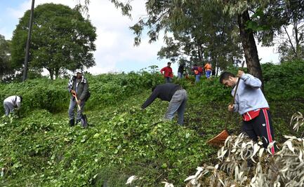 Más de 70 toneladas de basura y desperdicios son retirados de Calzada de las Armas en Naucalpan