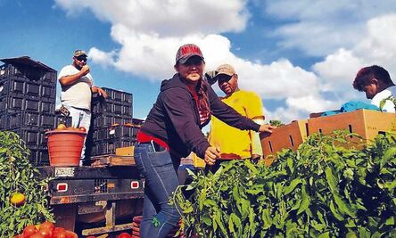 Aranceles de Trump tendrán más impacto en sector agroalimentario; cerveza, tequila y frutas, los más afectados: CNA