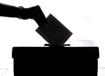 ¿Votantes de izquierda y de derecha tienen la misma estructura cerebral?, esto dicen los científicos